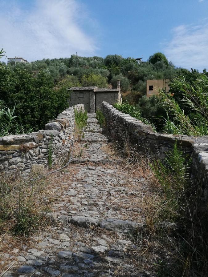 La Torretta Di Piero Con Terrazzi E Parcheggio Privato Citra Zero Zero Ottanta 31Lst0282 Daire Imperia Dış mekan fotoğraf